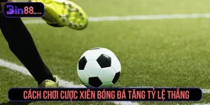 Thể Thao Bin88 – Đặt Kèo Ngay Hôm Nay, Săn Thưởng Lớn