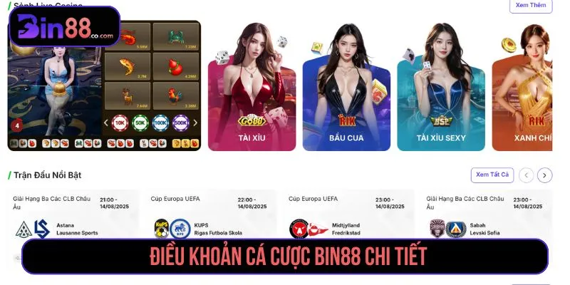 Điều Khoản Cá Cược BIN88 - Quy Định Tài Khoản, Kèo & Giao Dịch Điều Khoản Cá Cược BIN88 - Quy Định Tài Khoản, Kèo & Giao Dịch