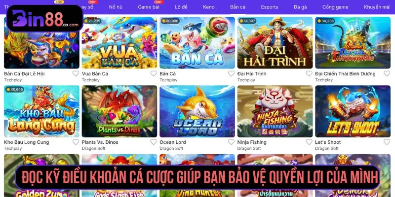 Điều Khoản Cá Cược BIN88 - Quy Định Tài Khoản, Kèo & Giao Dịch Điều Khoản Cá Cược BIN88 - Quy Định Tài Khoản, Kèo & Giao Dịch