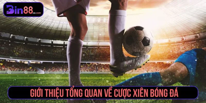Mẹo Cược Xiên Bóng Đá - Cách Chọn Kèo Và Quản Lý Vốn Mẹo Cược Xiên Bóng Đá - Cách Chọn Kèo Và Quản Lý Vốn