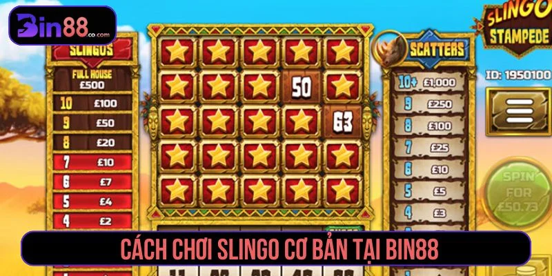 Slingo - Cách Chơi, Biểu Tượng Đặc Biệt Và Quản Lý Xu Slingo - Cách Chơi, Biểu Tượng Đặc Biệt Và Quản Lý Xu