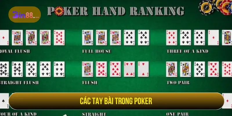V8 Poker - Luật Chơi, Thứ Hạng Bài Và Lưu Ý Khi Vào Bàn