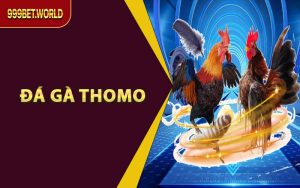 Mẹo Cá Cược - 999bet