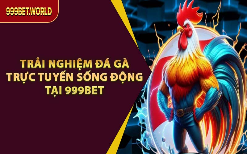 Đá Gà 999BET - Địa Điểm Đá Gà Được Yêu Thích Nhất 2026