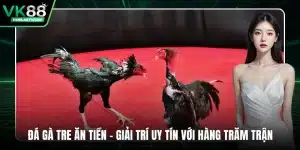 VK88 | Truy Cập Trang Chủ VK88.COM Cá Cược Uy Tín Số 1 Châu Á