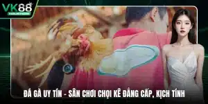 VK88 | Truy Cập Trang Chủ VK88.COM Cá Cược Uy Tín Số 1 Châu Á