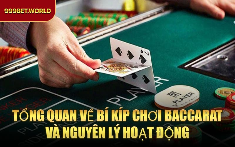 Bí Kíp Chơi Baccarat - Chiến thuật chơi để thắng lớn 2026